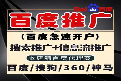 某品牌通过百度广告实现快速增长的案例